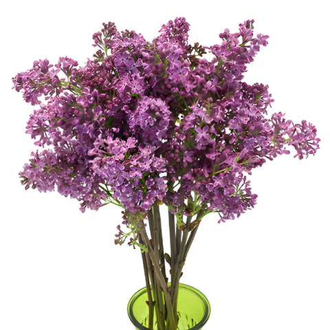 Soft Purple Premium Lilac Flower Apron - Image