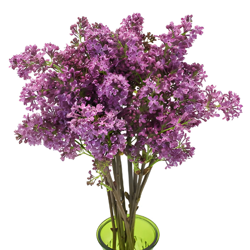 Soft Purple Premium Lilac Flower Apron - Image