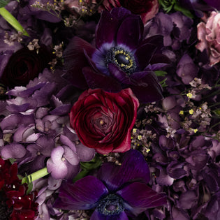 Plum Noir Diy Flower Kit Close Up - Image