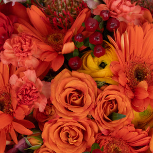 Persimmon Orange Diy Flower Kit Close Up - Image