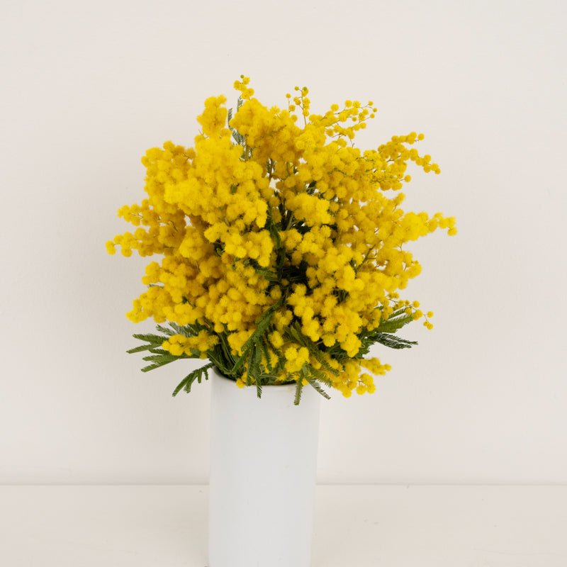 Yellow Mimosa Flowers Vase - Image