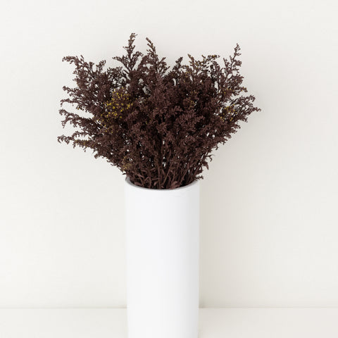 Chocolate Tinted Solidago Flowers Vase - Image