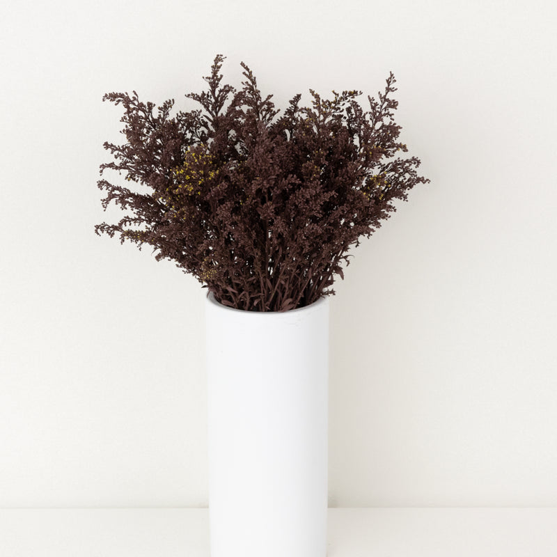 Chocolate Tinted Solidago Flowers Vase - Image