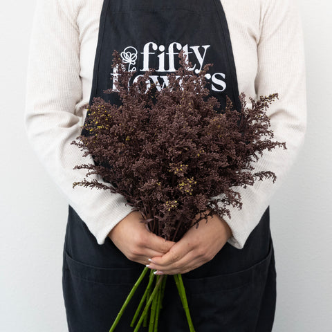 Chocolate Tinted Solidago Flowers Apron - Image