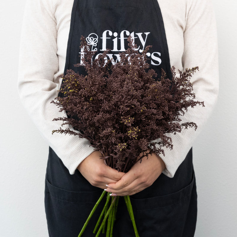 Chocolate Tinted Solidago Flowers Apron - Image