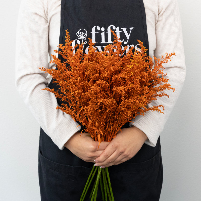 Tinted Orange Estelle Solidago Filler Flowers Close Up - Image
