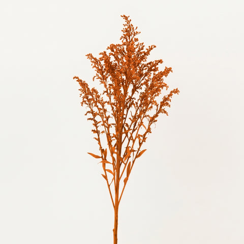 Tinted Orange Estelle Solidago Filler Flowers Stem - Image