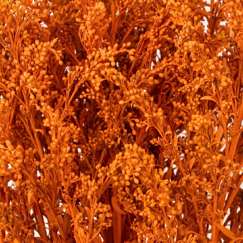 Tinted Orange Estelle Solidago Filler Flowers Apron - Image