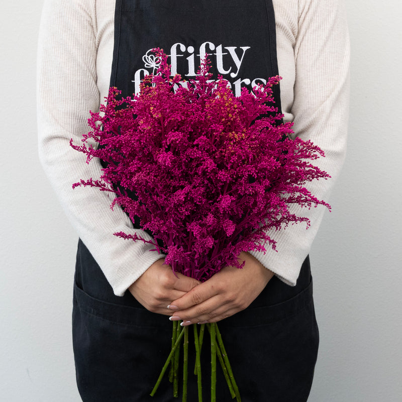 Pink Tinted Estelle Solidago Filler Flowers Apron - Image
