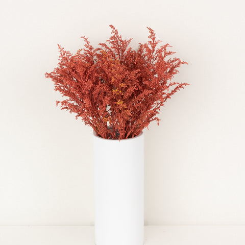 Persimmon Tinted Solidago Flowers Vase - Image