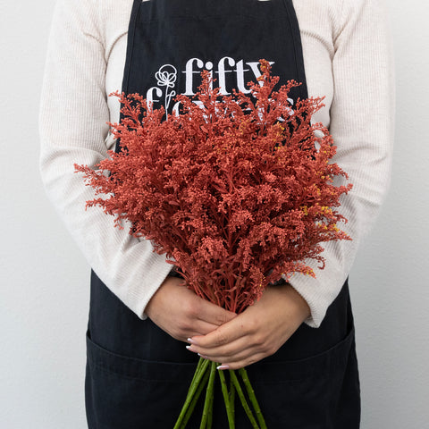 Persimmon Tinted Solidago Flowers Apron - Image
