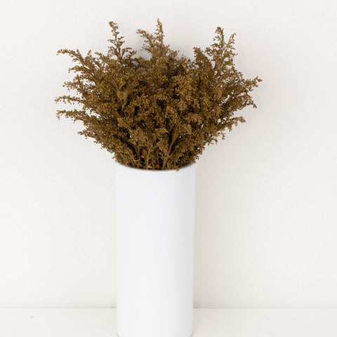 Brown Sugar Tinted Solidago Flowers Vase - Image
