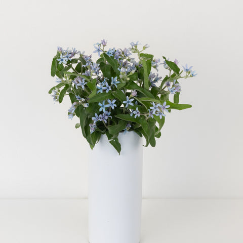 Soft Blue Designer Tweedia Flower Vase - Image