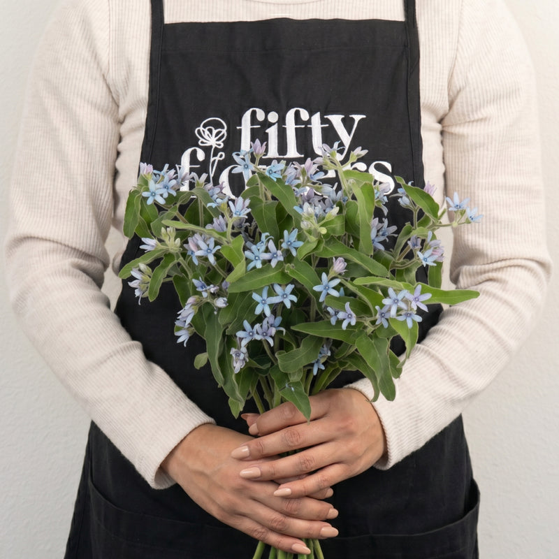 Soft Blue Designer Tweedia Flower Apron - Image