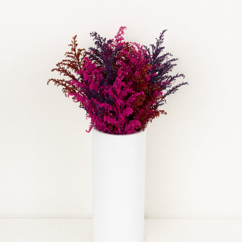 Crimson Kiss Solidago Pack Vase - Image