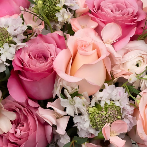 Wicked Pink Diy Flower Kit Close Up - Image