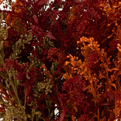 Traditional Fall Solidago Pack Close Up - Image