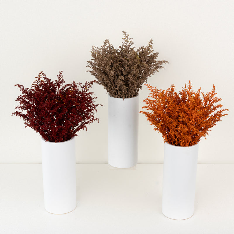 Traditional Fall Solidago Pack Stem - Image