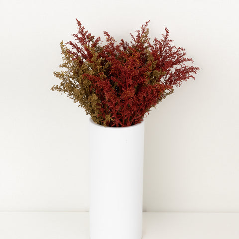 Sugar And Spice Solidago Pack Vase - Image