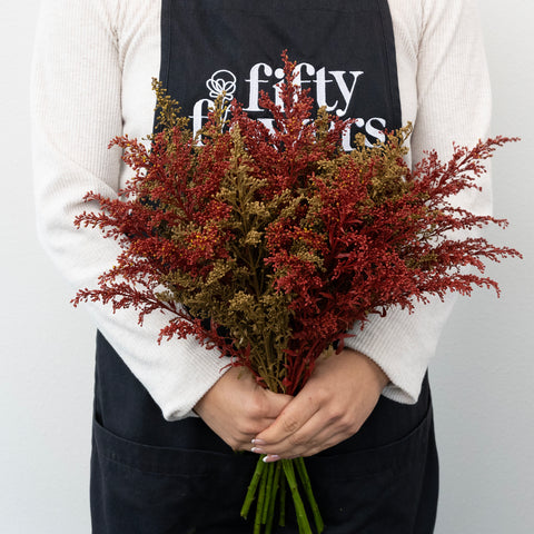 Sugar And Spice Solidago Pack Apron - Image