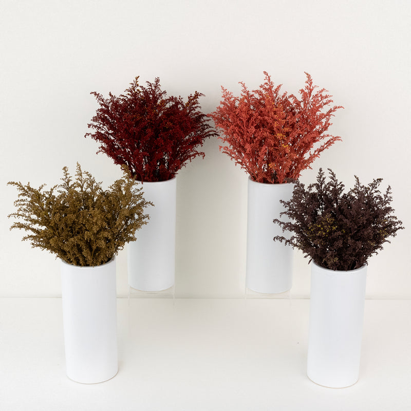 Dark Fall Solidago Pack Stem - Image