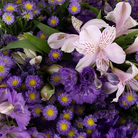 Purple Magic Diy Flower Kit Close Up - Image