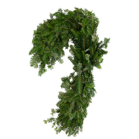 Fraser Fir Candy Cane Wreath Close Up - Image