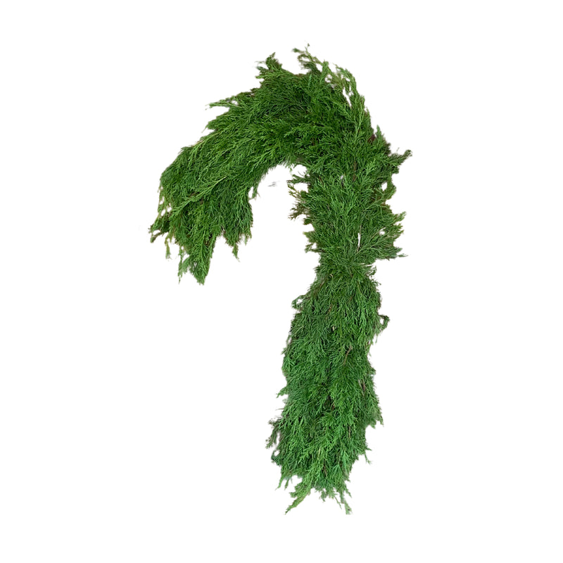 Cedar Green Candy Cane Wreath Close Up - Image