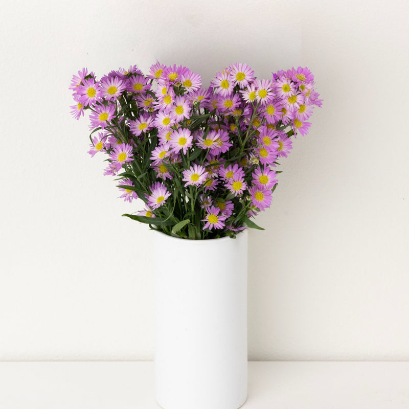 Sugar Plum Pink Spray Aster Flowers Vase - Image