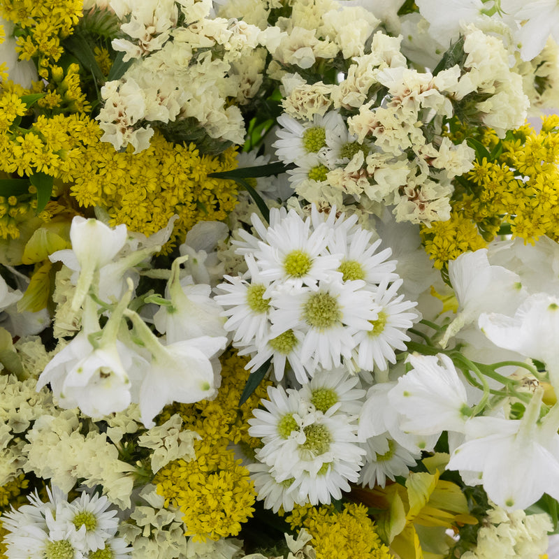 Sunny Magic Diy Flower Kit Close Up - Image