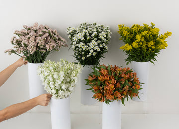 Morning Magic Bouquet Bar Flower Kit Close Up - Image