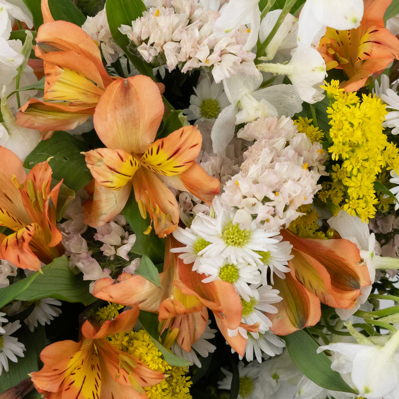 Morning Magic Diy Flower Kit Close Up - Image