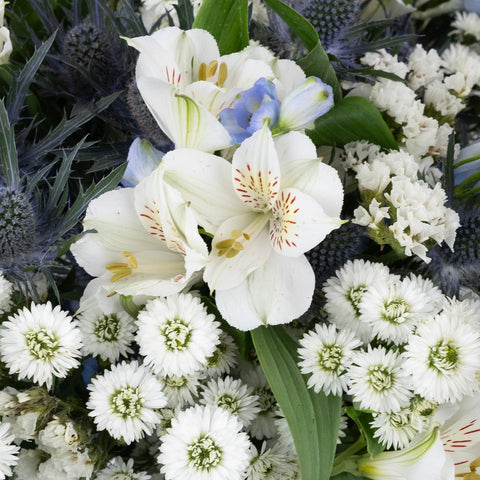 Light Blue Magic Diy Flower Kit Close Up - Image