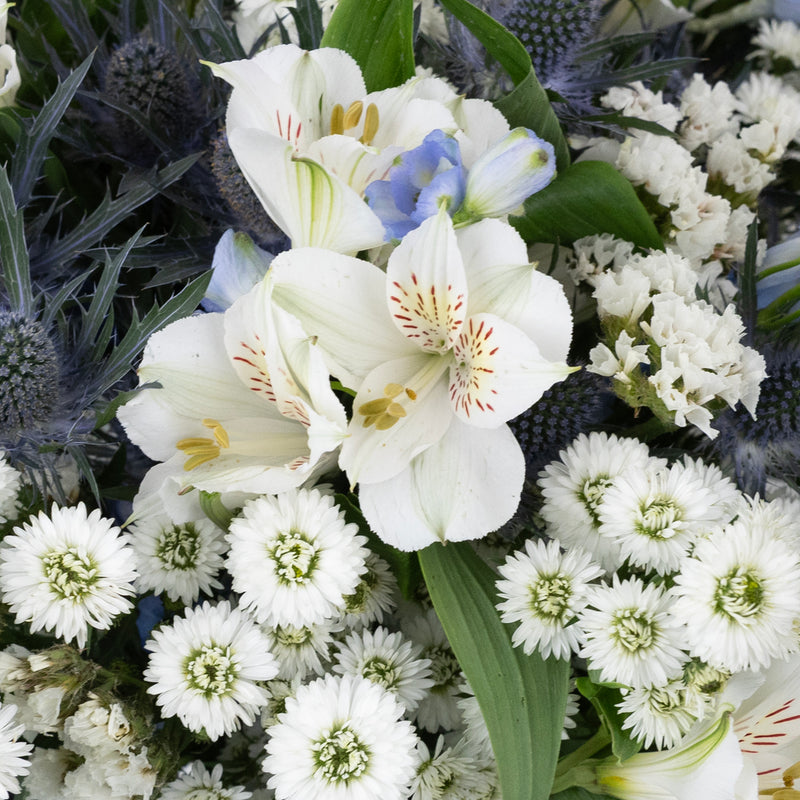 Light Blue Magic Diy Flower Kit Close Up - Image
