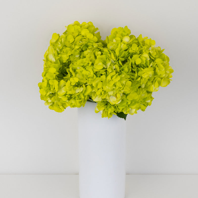 Wasabi Airbrushed Hydrangea Flower Vase - Image