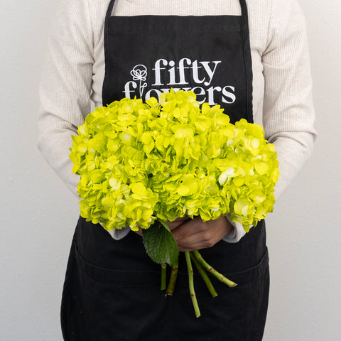 Wasabi Airbrushed Hydrangea Flower Apron - Image