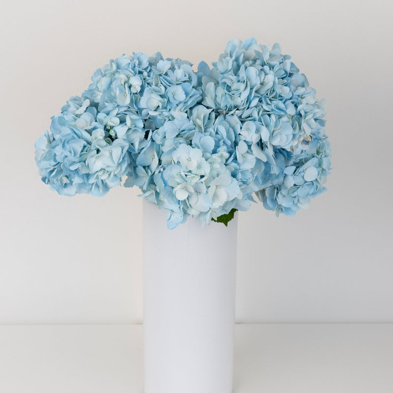 Cool Blue Airbrushed Hydrangea Flower Vase - Image