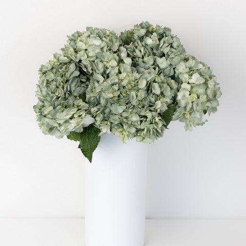 Jade Airbrushed Hydrangea Flower Vase - Image