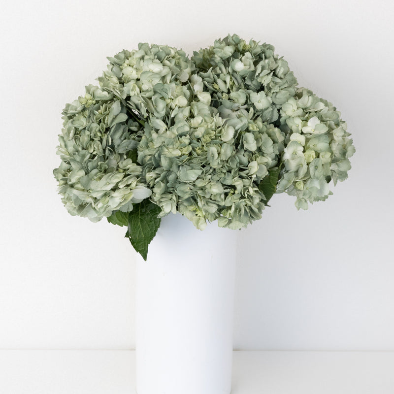 Jade Airbrushed Hydrangea Flower Vase - Image
