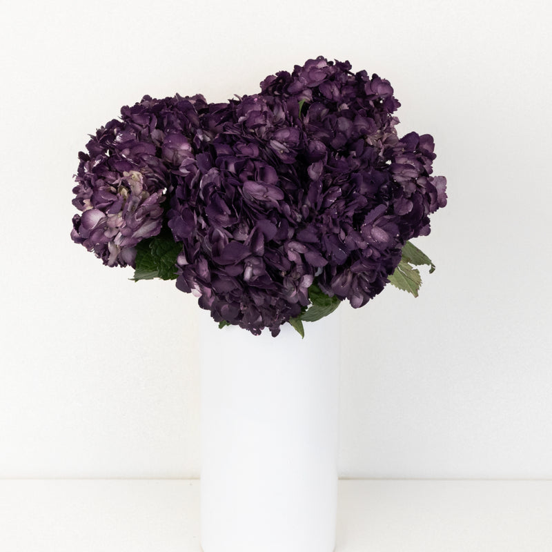 Plum Noir Airbrushed Hydrangea Flower Vase - Image