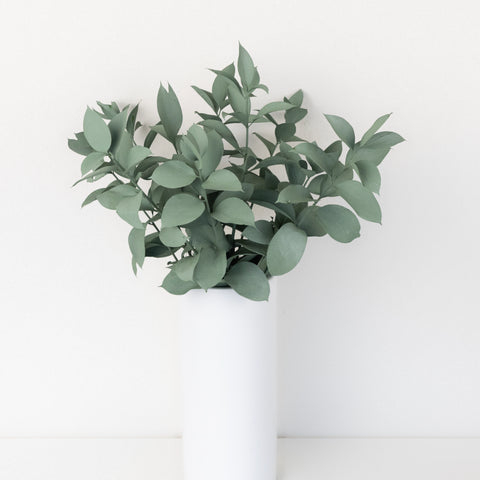 Jade Tinted Ruscus Greenery Vase - Image