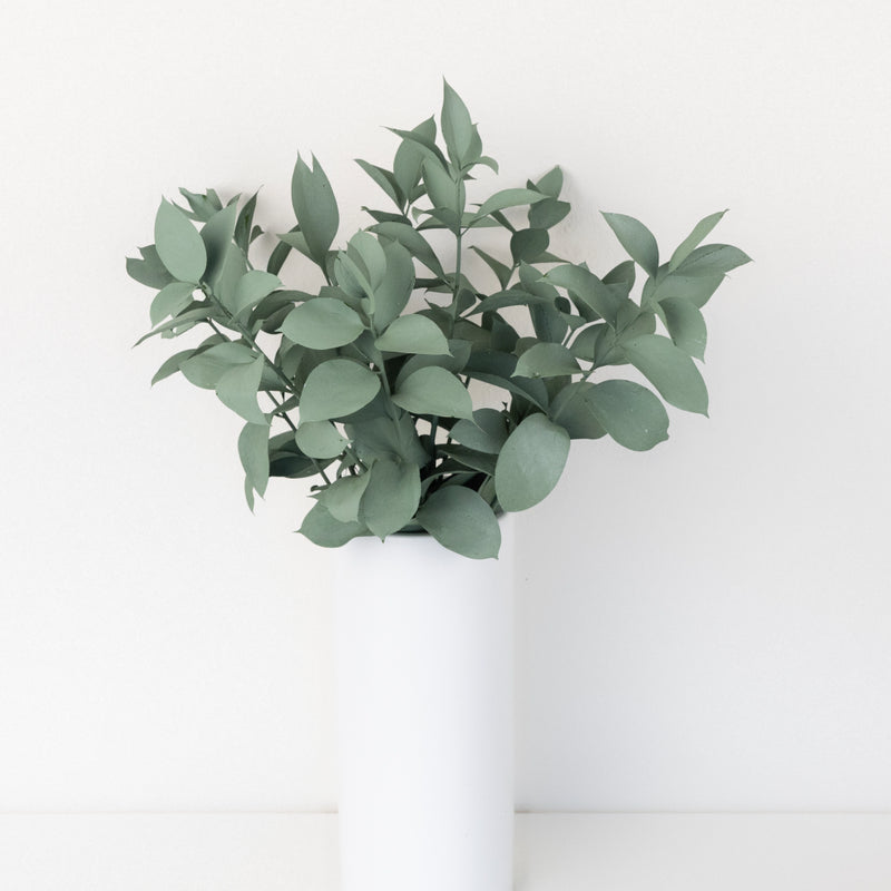 Jade Tinted Ruscus Greenery Vase - Image