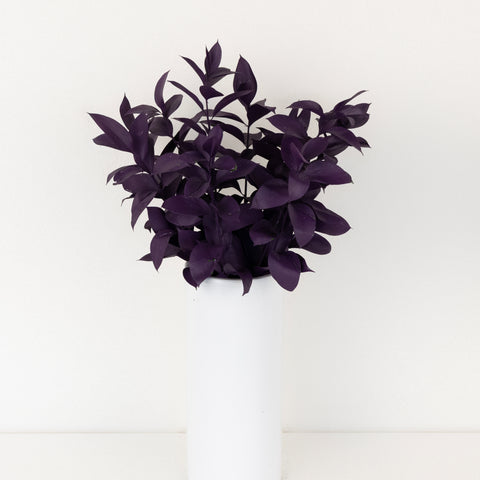 Plum Noir Tinted Ruscus Greenery Vase - Image