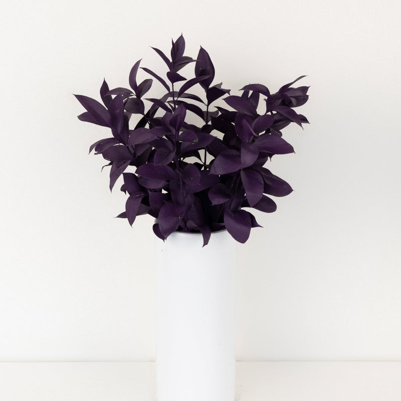 Plum Noir Tinted Ruscus Greenery Vase - Image