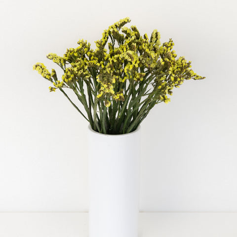 Wasabi Tinted Statice Flower Vase - Image