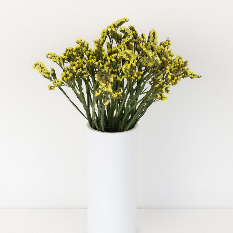 Wasabi Tinted Statice Flower Vase - Image