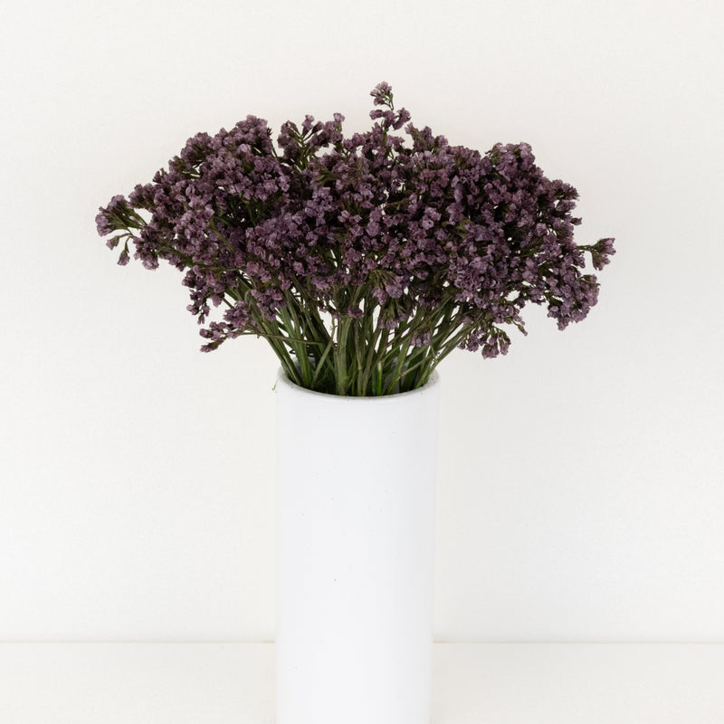 Plum Noir Tinted Statice Flower Vase - Image