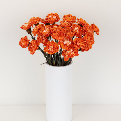 Persimmon Tinted Carnation Flowers Vase - Image