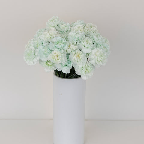 Cool Blue Tinted Carnation Flowers Vase - Image