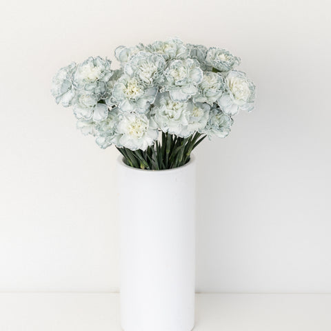 Jade Tinted Carnation Flowers Vase - Image